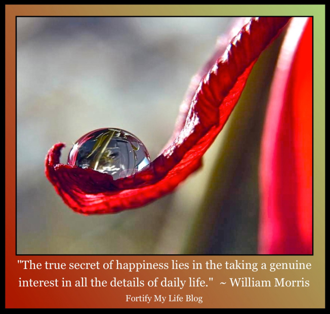 The true secret of happiness  ~ William Morris